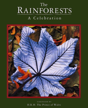 the rainforests- A Celebration