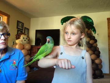 Kids are mesmerized by our birds